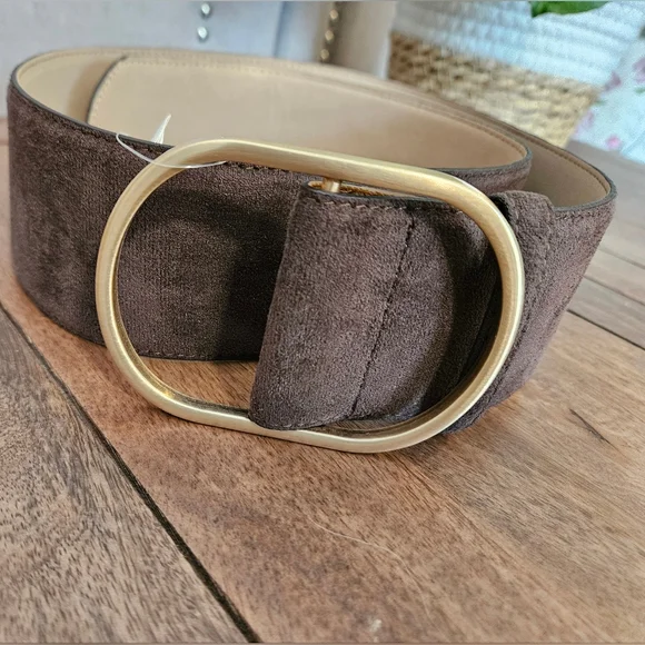 Banana Republic | Accessories | Banana Republic Brown Suede  display picture 1
